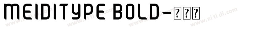 MEIDITYPE BOLD字体转换